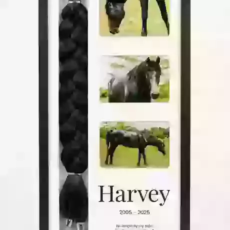 Horse Memory Frame